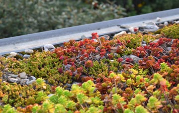 the cost of Efflinch green roof installation